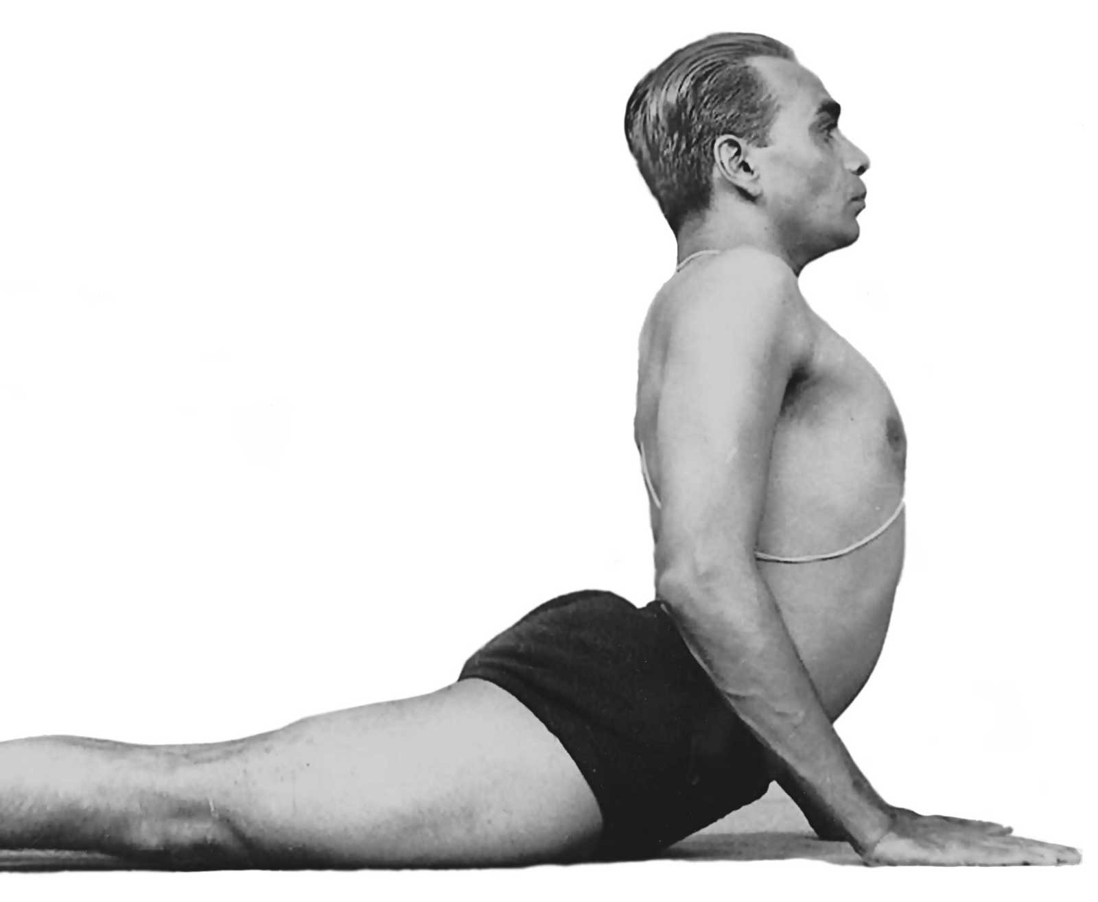 Iyengar Yoga Mestre