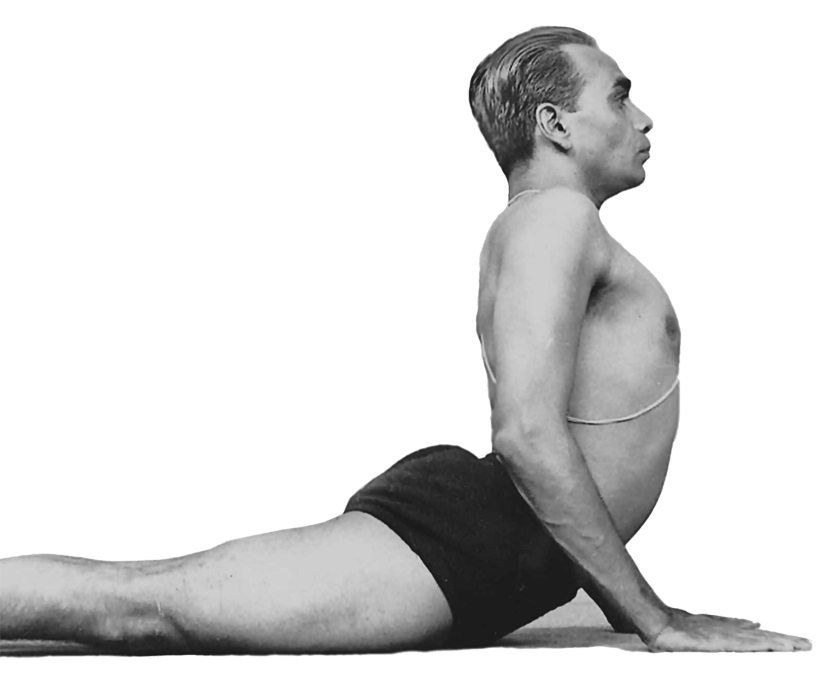 Iyengar Yoga Mestre